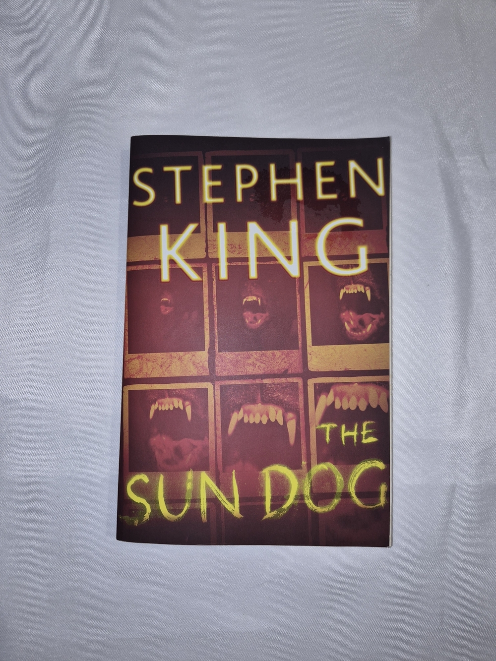 The Sun Dog - Paperback